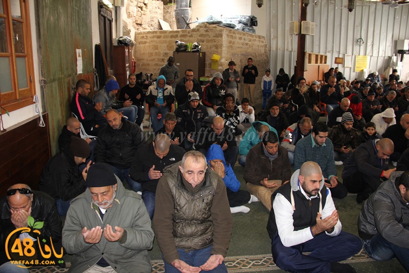 mahomoud shaneer (4).JPG